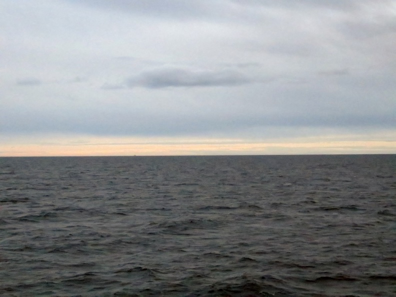 iceland-whale-watching-049.jpg
