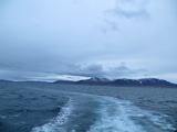 iceland-whale-watching-054