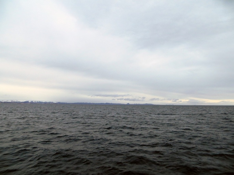 iceland-whale-watching-063.jpg