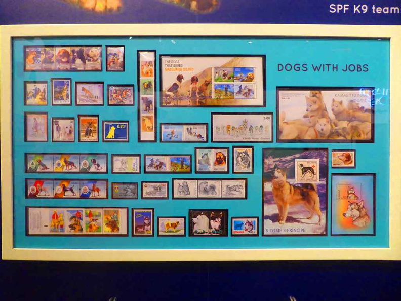 all-about-dogs-philatelic-museum-04.jpg