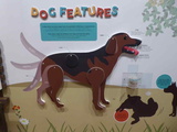 all-about-dogs-philatelic-museum-08