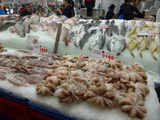 sydney-fish-market-08