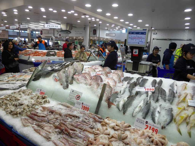 sydney-fish-market-09.jpg
