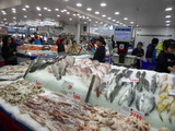 sydney-fish-market-09