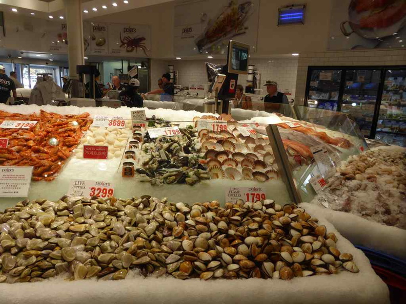 sydney-fish-market-11.jpg
