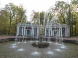 peterhof-grand-palace-065