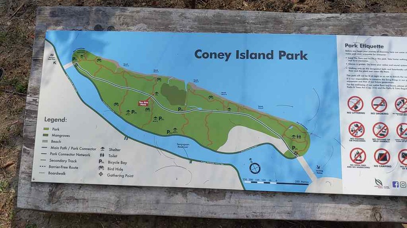 coney-island-015.jpg