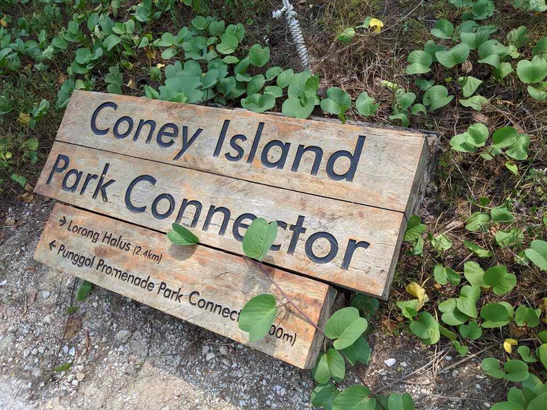 coney-island-020.jpg