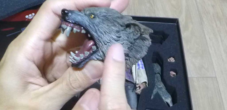 werewolf-coomodel-head.jpg