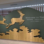 nara-deer-japan-031
