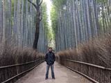 kyoto-arashiyama-bamboo-forest-japan-53
