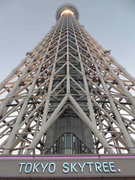 Looking up the Skytree