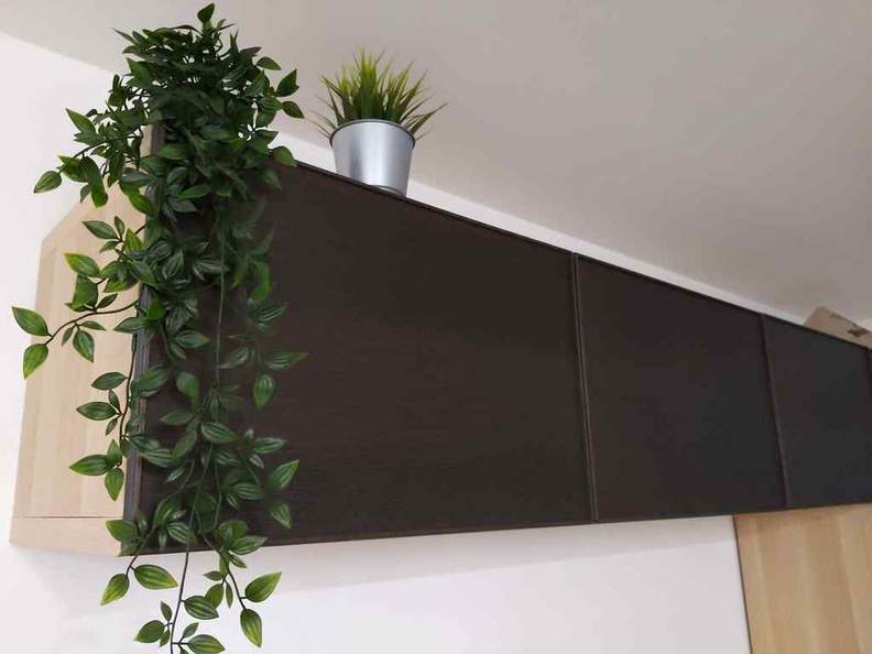 Sweet clean look of BESTA cabinets and doors held by hidden vertical hinges. With some FEJKA greenery