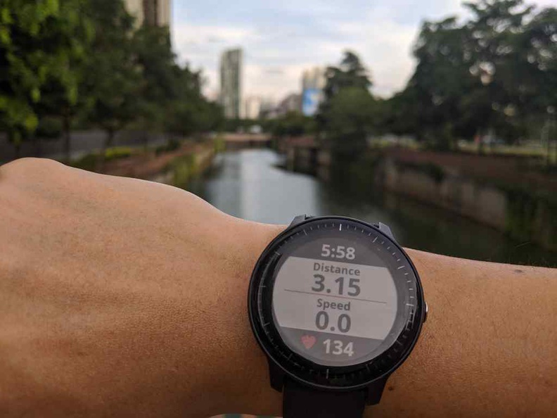 Garmin vivoactive 3 sales for golf review