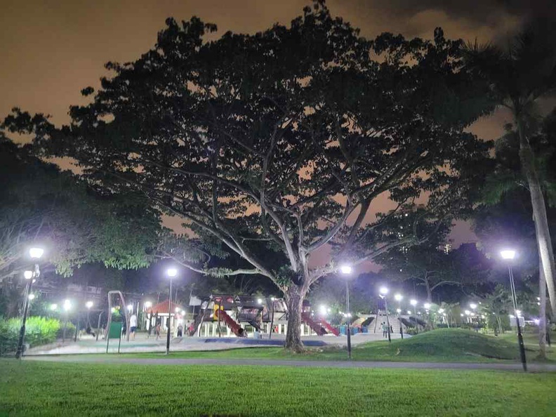 Night outdoor with challenging lights.