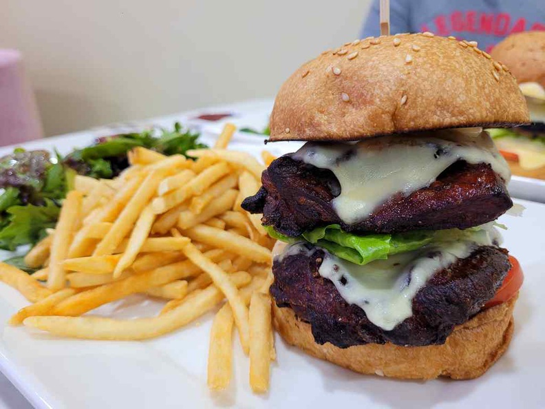 With sides of vege garden salad and fries