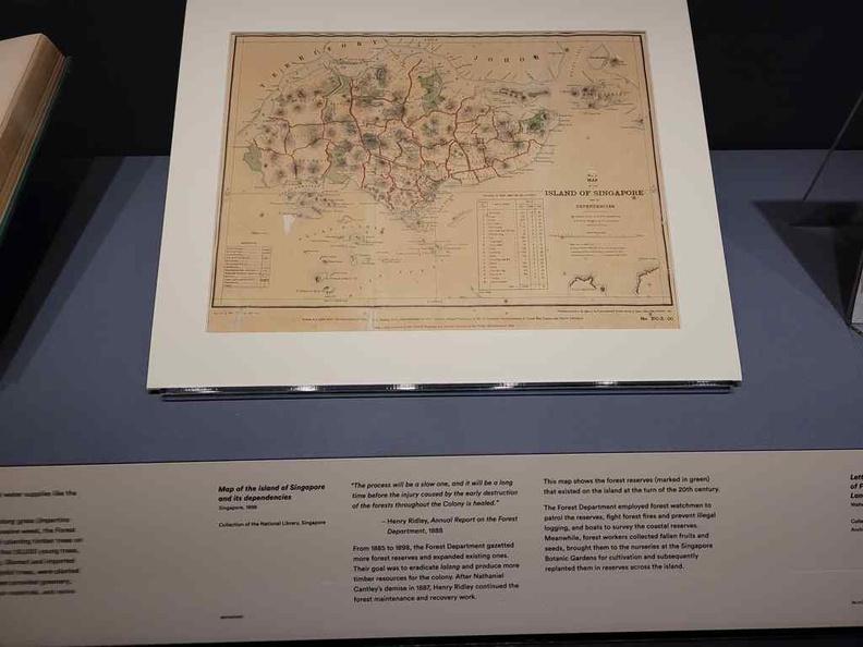 Early plantation maps