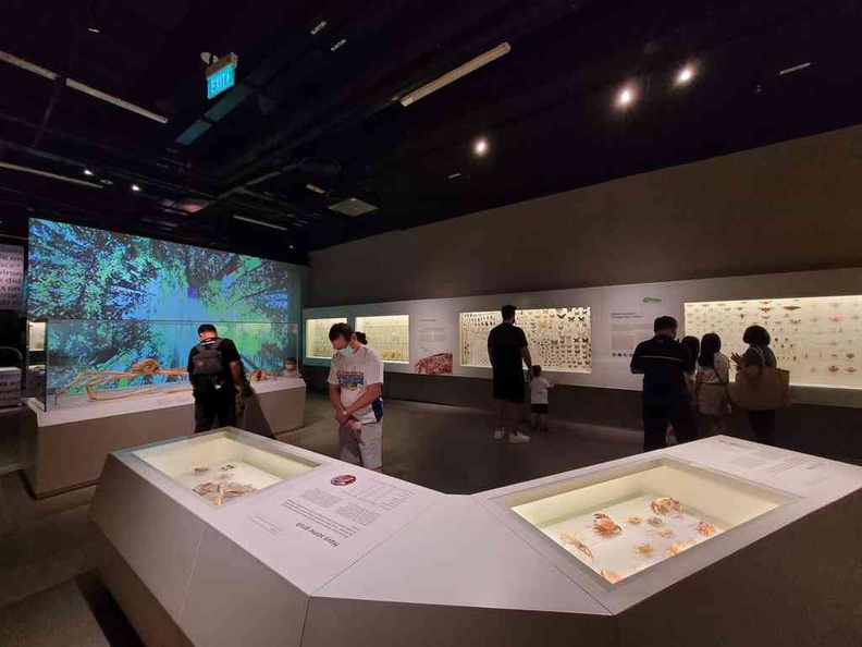 Welcome to the Exhibition floor of the Lee Kong Chian Natural History Museum at NUS