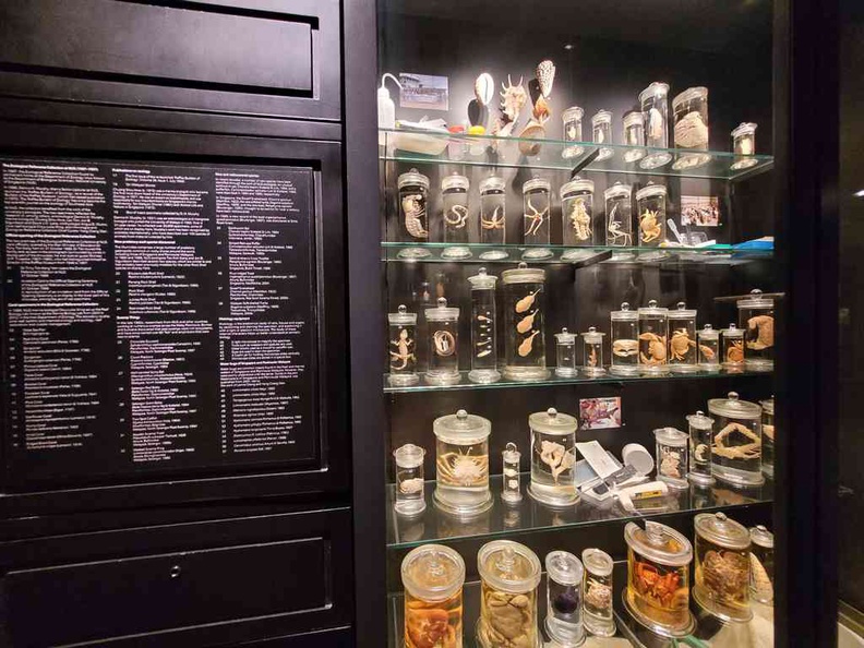 Display cabinets Raffles Natural History Collection Lee Kong Chian Natural History Museum