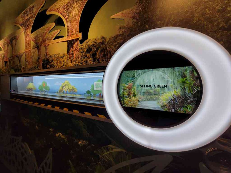 Interactive exhibits where you can slide a ring over various tree types