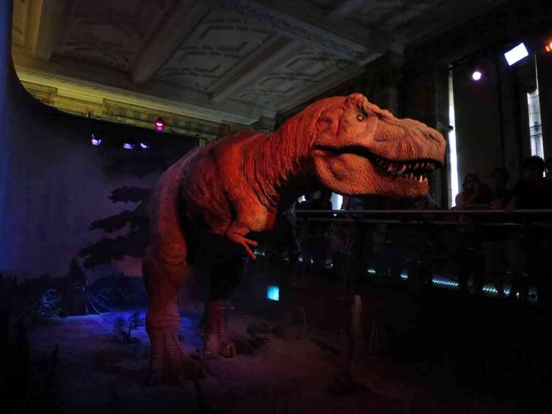 Mid-point animatronic T-rex, kinda quirky, but a hit with kids
