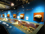 london-natural-history-museum-06