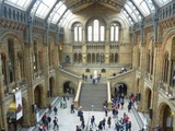 london-natural-history-museum-16
