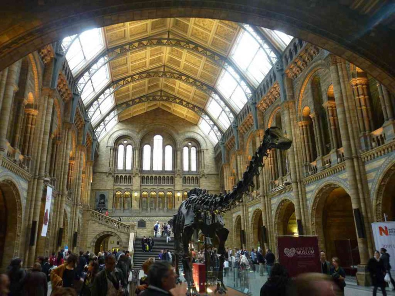 Front lobby with dippy the Diplodocus welcoming you at the entrance