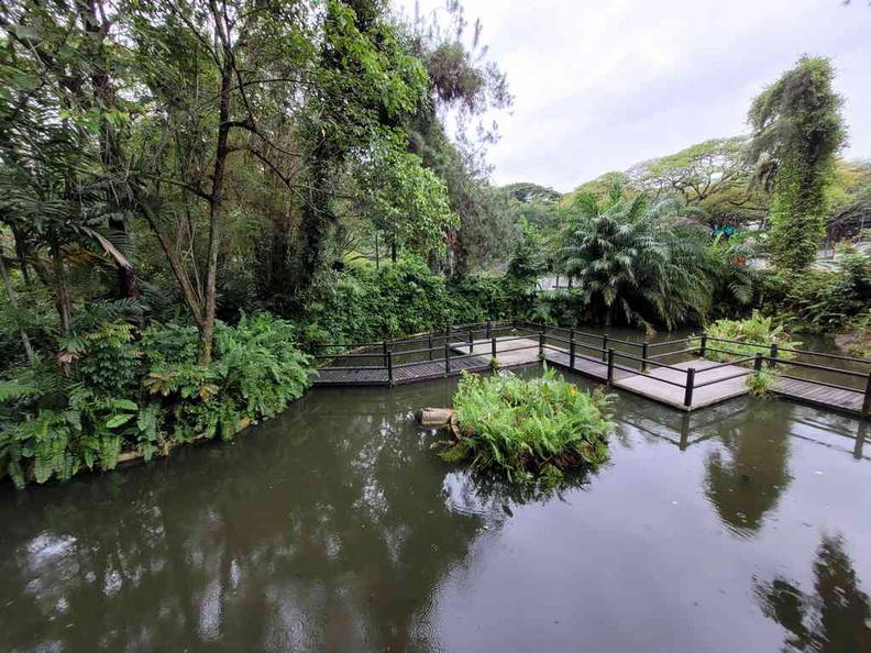 Ridout Mcdonalds gardens main pond, the last of the classic Japanese Garden from the 1970s