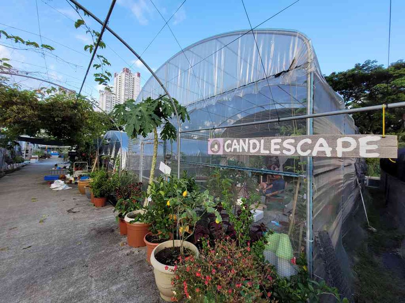 Greenhouses at the City Sprout Hub Farms in urban Singapore