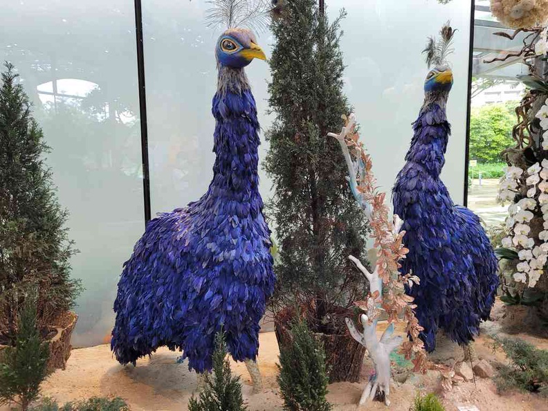 Blue peacock couple at the start of the animal Floral arrangement