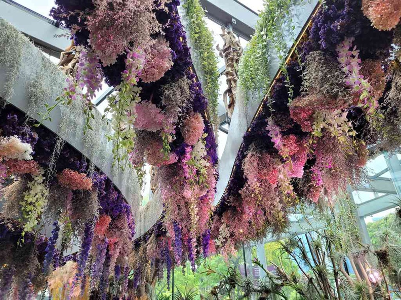 Floral Fantasy Dance sector comprising of a canopy of suspended flowering plants from the roof
