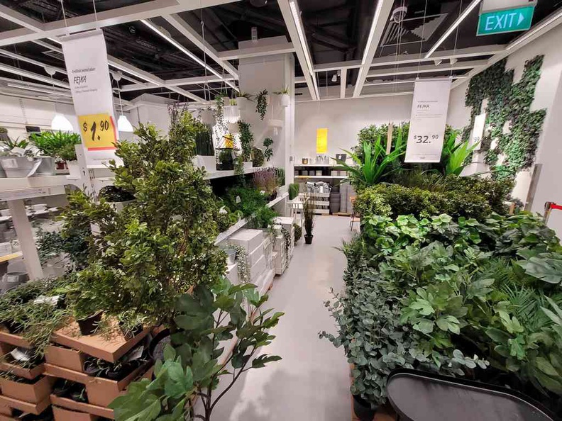 Mini Plants section Ikea JEM Jurong