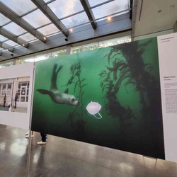 World Press Photo Exhibition 2021