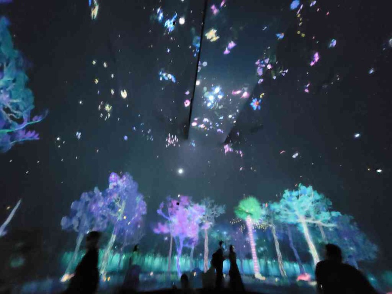 Story Of Forest rotunda bottom chill open area with a looping animation of the mystical forest