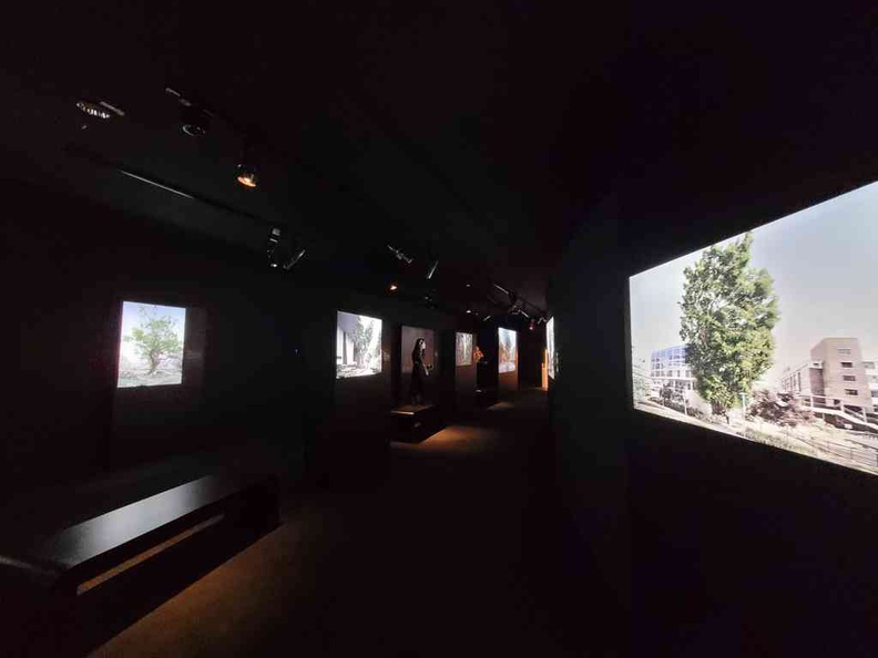 The interior galleries of the Very Old Tree photo exhibition following the Story Of Forest gallery