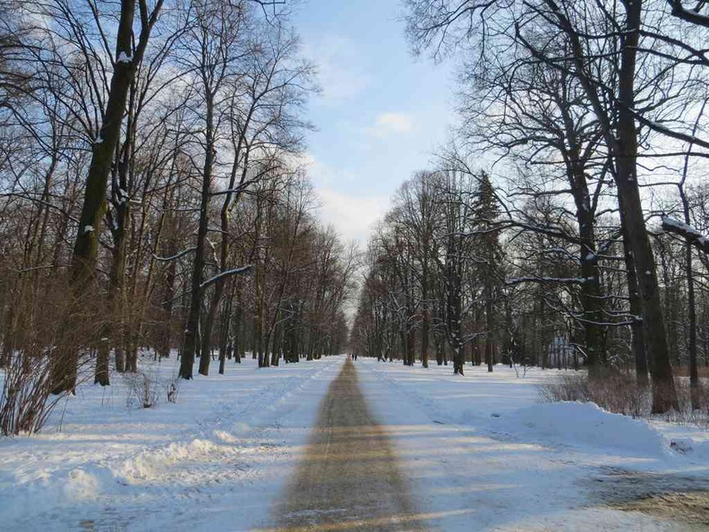 Snowy park route into Warsaw Łazienowski city park