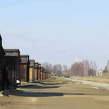 auschwitz-concentration-camp-31