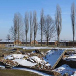 auschwitz-concentration-camp-42