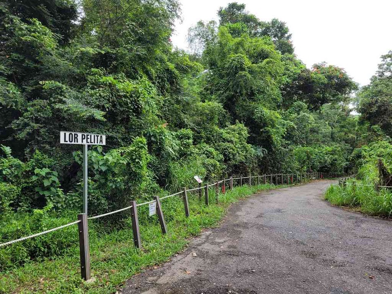 Old streets and Lorong Pelita within the forest grounds