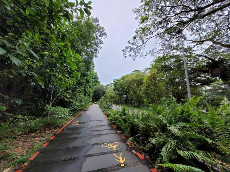 Thomson road is remodeled into a one way pedestrian, cycle and driving road now. With many speed traps along the route. Hard to tell this was a Grand Prix track