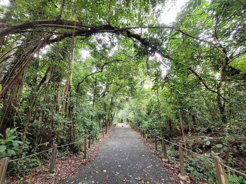 A walk through nature, with secondary forests mostly in-tow