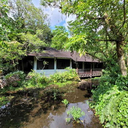 Sungei buloh wetland reserve