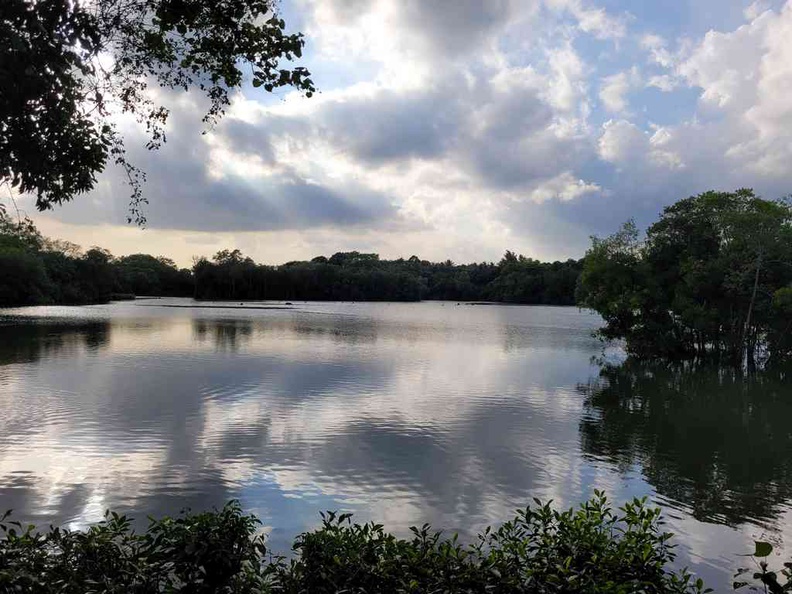 Welcome to Sungei Buloh wetland reserve, by the natural reserve reservoir