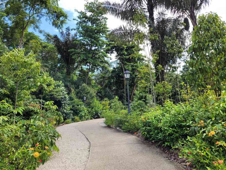 The lush garden area in the Botanical gardens gallop extension