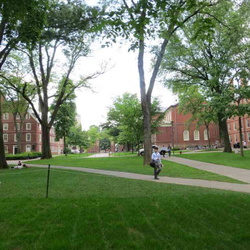 Boston Harvard University