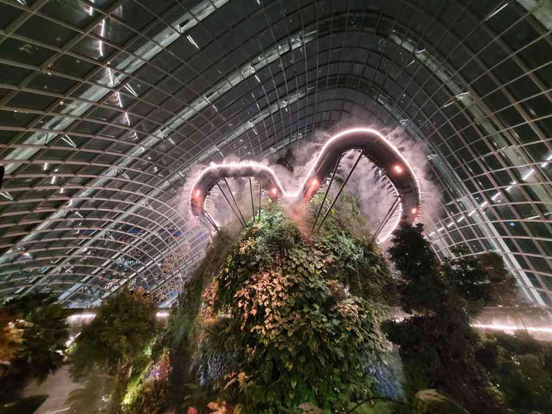 Welcome to the cloud forest with a spectacular misting