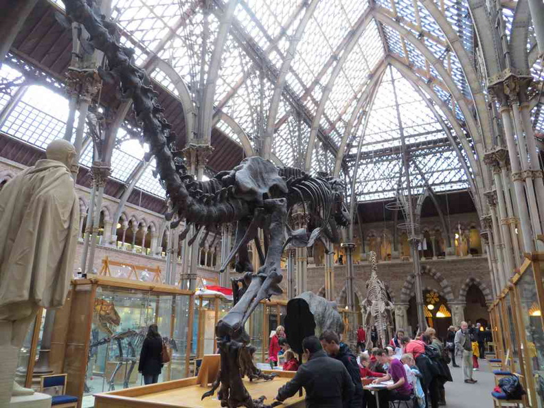 The Natural history museum, a University museum as part of Oxford university Natural history collection