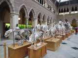 oxford-natural-history-museum-02