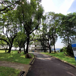 Jurong hill park and tower